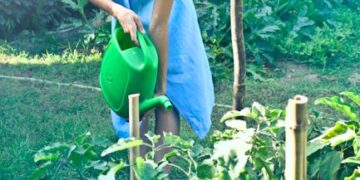 renewable resources in gardening
