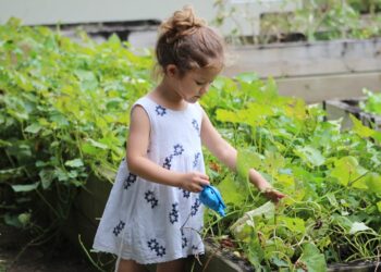 green gardening practices