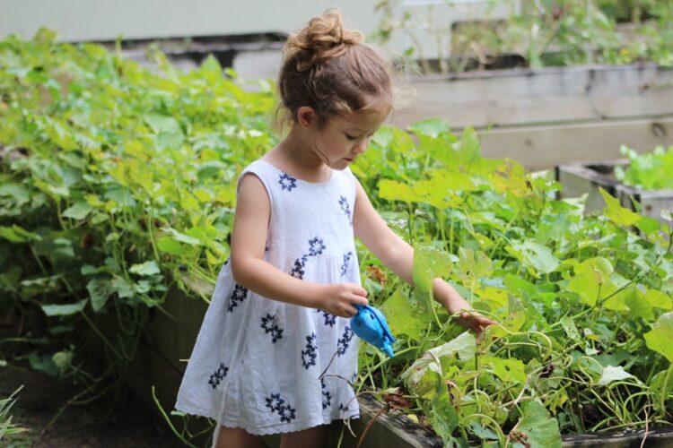 green gardening practices
