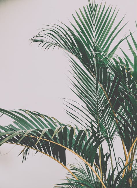 Unlock the Secrets to Perfectly Watering Plants Every Time