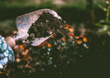 Maximizing Your Harvest: Essential Planting Equipment for Modern Farmers