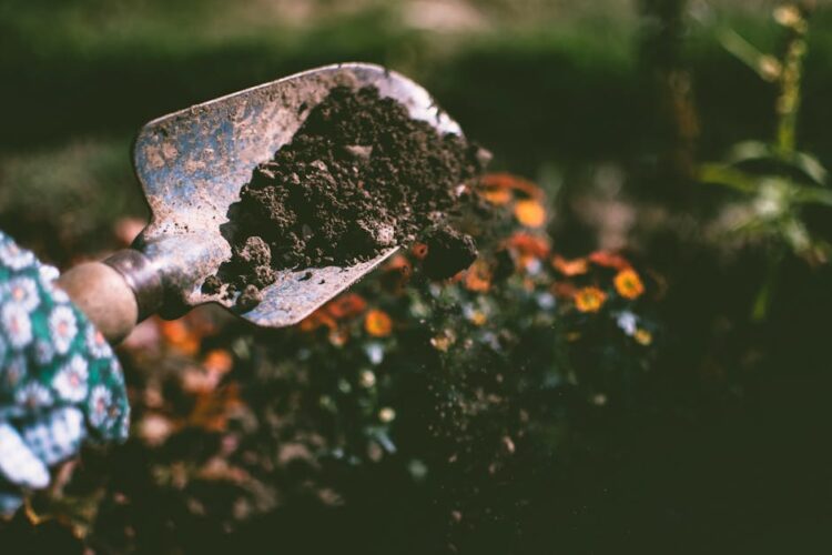Maximizing Your Harvest: Essential Planting Equipment for Modern Farmers
