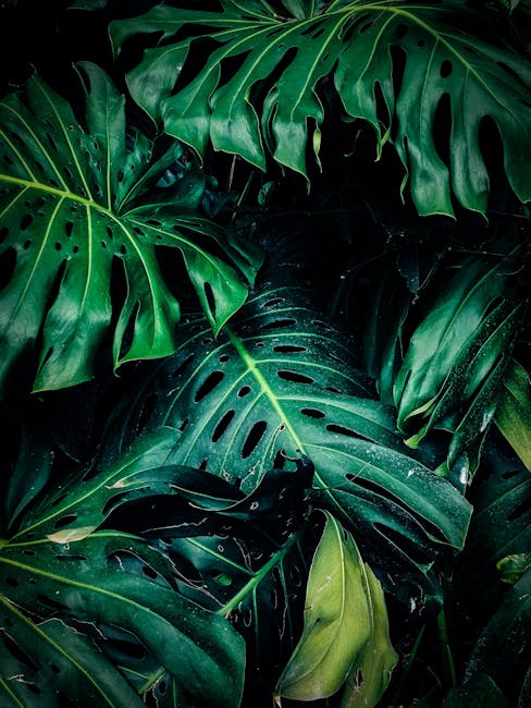Unlock the Secrets of Effective Plant Pruning: A Comprehensive Guide