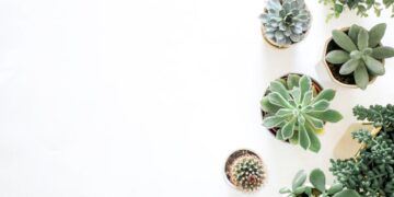 Ultimate Guide to Natural Plant Pest Control Solutions