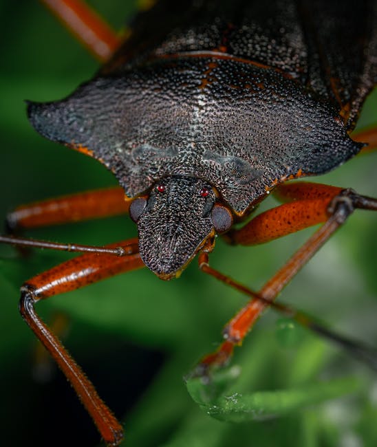 Unveiling the Mystery: How to Identify Common Garden Pests and Protect Your Plants