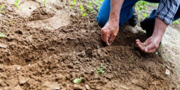 permaculture principles