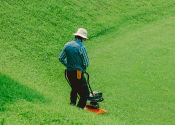 The Ultimate Guide to Choosing the Right Planting Equipment for Your Garden