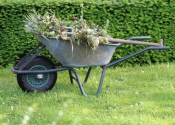 Unlocking Nature's Secrets: Master Gardening with Essential Soil Tools