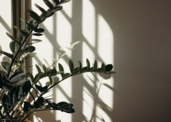 Unlock the Secrets of Indoor Gardening Techniques: A Beginner's Guide