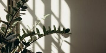 Unlock the Secrets of Indoor Gardening Techniques: A Beginner's Guide