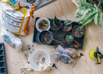 climate-resilient gardening
