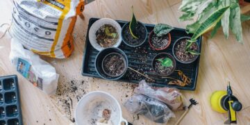 climate-resilient gardening