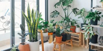 Maximizing Your Living Space: Tips for Space-Saving Indoor Gardening