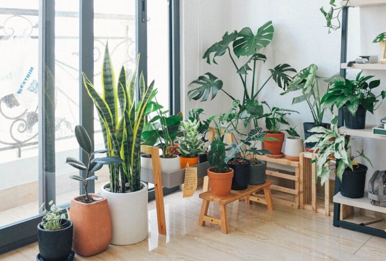Maximizing Your Living Space: Tips for Space-Saving Indoor Gardening