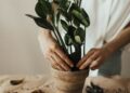 Unlocking Your Garden's Potential: The Essential Guide to Pruning Shears