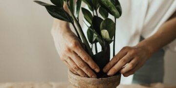 Unlocking Your Garden's Potential: The Essential Guide to Pruning Shears