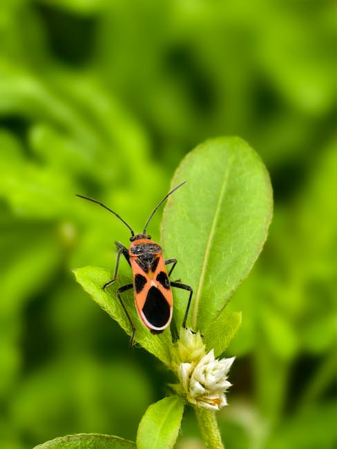Unlock Your Garden's Potential with Natural Bug Repellents
