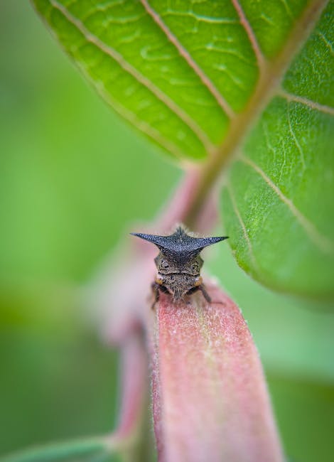 Discover the Best Disease-Resistant Garden Plants for a Healthy Yard