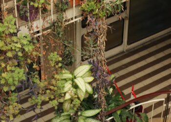 Transform Your Home with Stylish Indoor Plant Pots: A Guide to Enhancing Your Space