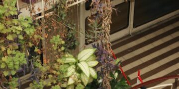 Transform Your Home with Stylish Indoor Plant Pots: A Guide to Enhancing Your Space