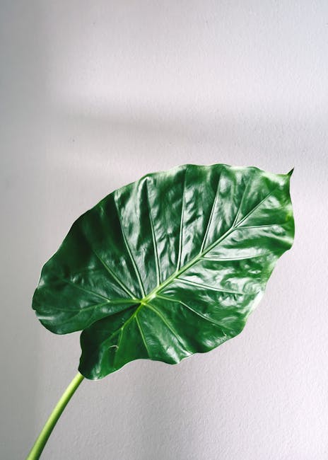 Maximize Your Space with Essential Indoor Gardening Supplies