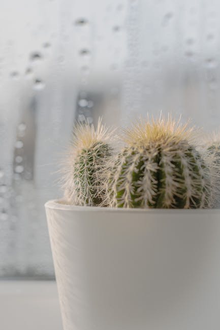 Maximize Your Indoor Garden Success with the Right Plant Light