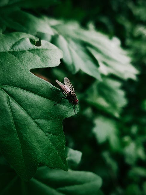 Master Garden Weed Control with These Eco-Friendly Techniques