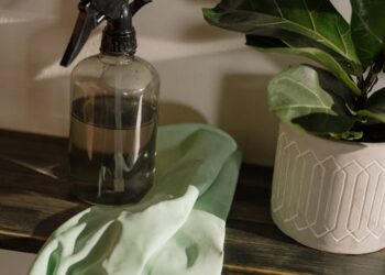Ultimate Guide to Indoor Plant Maintenance: Tips for a Thriving Green Space
