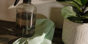Ultimate Guide to Indoor Plant Maintenance: Tips for a Thriving Green Space