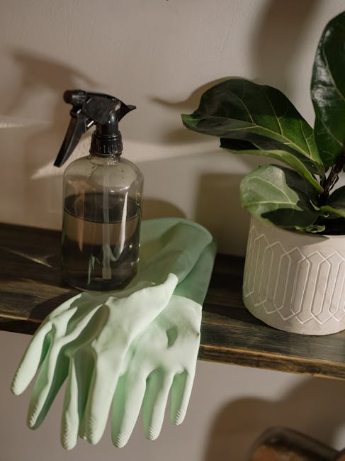 Ultimate Guide to Indoor Plant Maintenance: Tips for a Thriving Green Space