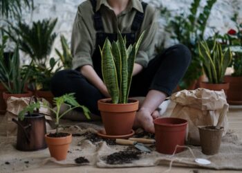 Transform Your Home with These Easy Indoor Gardening Ideas