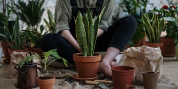Transform Your Home with These Easy Indoor Gardening Ideas