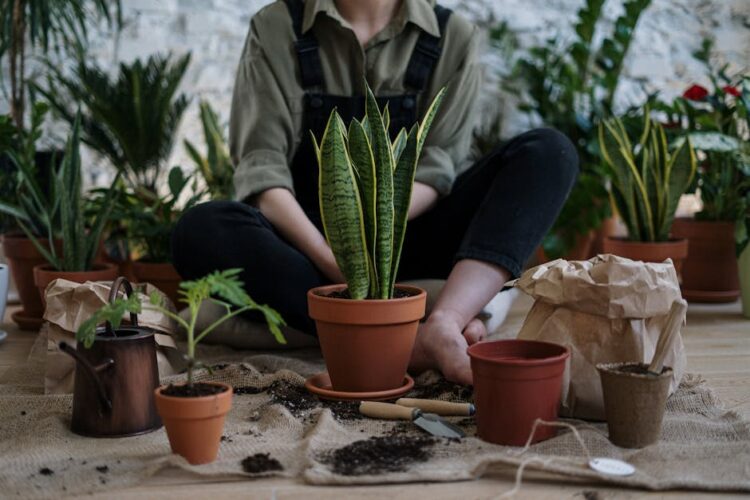 Transform Your Home with These Easy Indoor Gardening Ideas