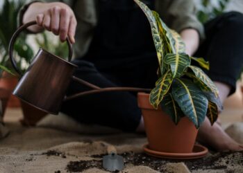 Unlocking the Secrets of Effective Gardening: Choosing the Right Spades and Shovels