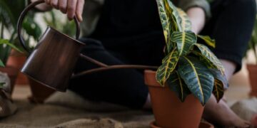 Unlocking the Secrets of Effective Gardening: Choosing the Right Spades and Shovels