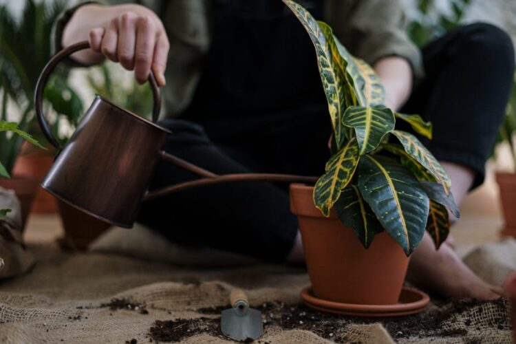 Unlocking the Secrets of Effective Gardening: Choosing the Right Spades and Shovels