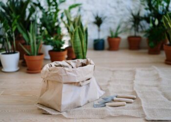 Tips for Effective Watering with Cans: Boost Your Plants' Growth