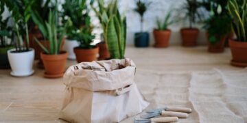 Tips for Effective Watering with Cans: Boost Your Plants' Growth
