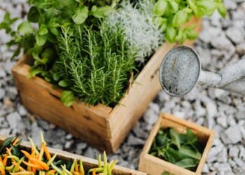 5 Common Mistakes to Avoid When Using Garden Hoses