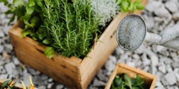 5 Common Mistakes to Avoid When Using Garden Hoses