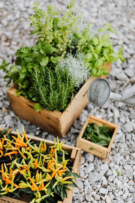 5 Common Mistakes to Avoid When Using Garden Hoses