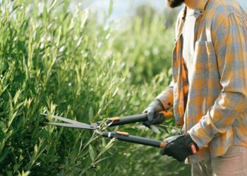 The Ultimate Guide to Choosing the Best Garden Hoses for Every Home