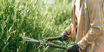 The Ultimate Guide to Choosing the Best Garden Hoses for Every Home