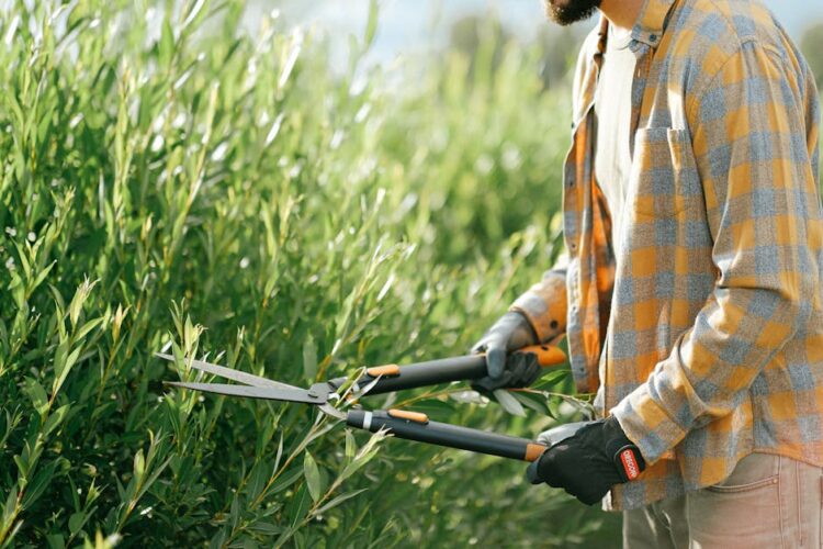 The Ultimate Guide to Choosing the Best Garden Hoses for Every Home