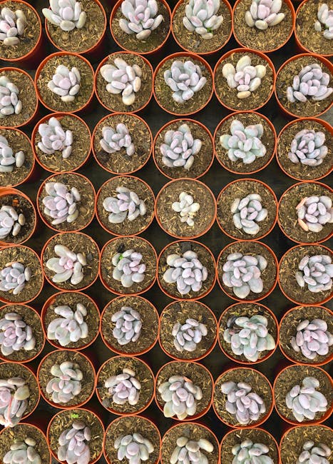 eco-friendly gardening