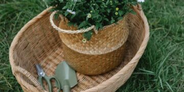 Unleashing Creativity with Tool Kits: A Comprehensive Guide