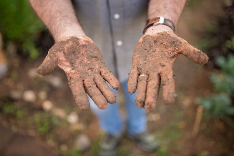 Revitalize Your Roses: How Pruning Shears Can Transform Your Garden