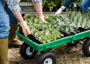 Unveiling the Best Garden Gloves for Every Season: Your Ultimate Guide