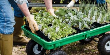 Unveiling the Best Garden Gloves for Every Season: Your Ultimate Guide