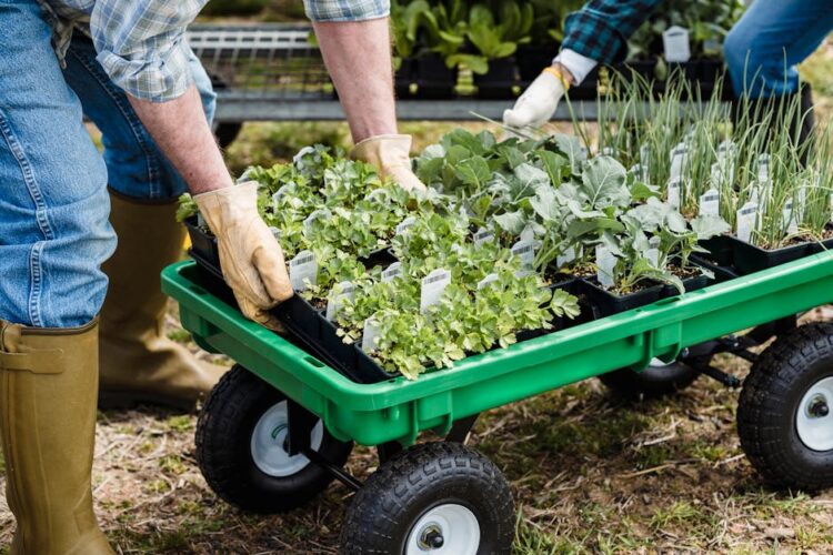 Unveiling the Best Garden Gloves for Every Season: Your Ultimate Guide